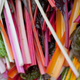 Image for article titled Last Call: Celebrate Pride Month with this investigation of Queer Food